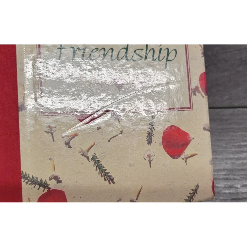 Sonnets Of Love And Friendship by Holly McConnaughy (Hardcover)